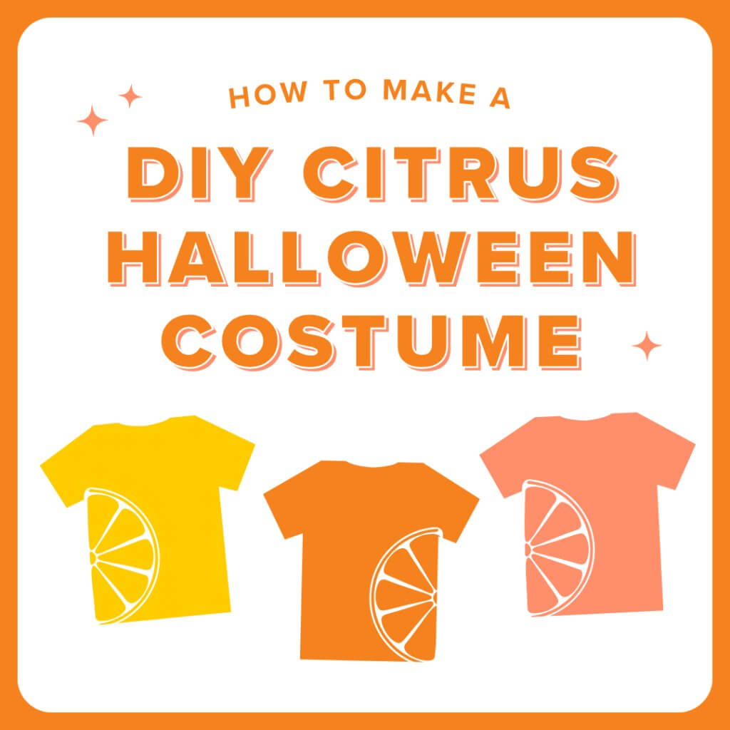 Citrus Halloween Costume