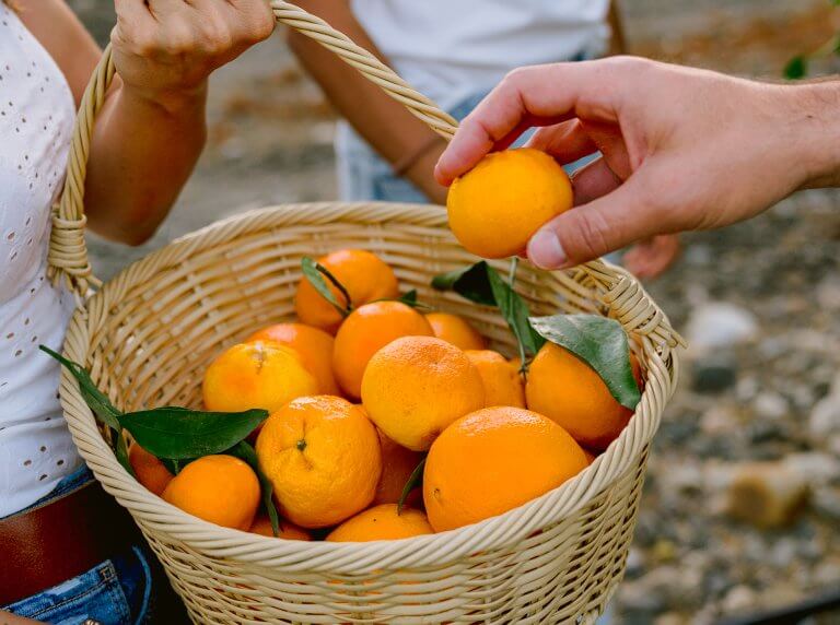 Orange Picking