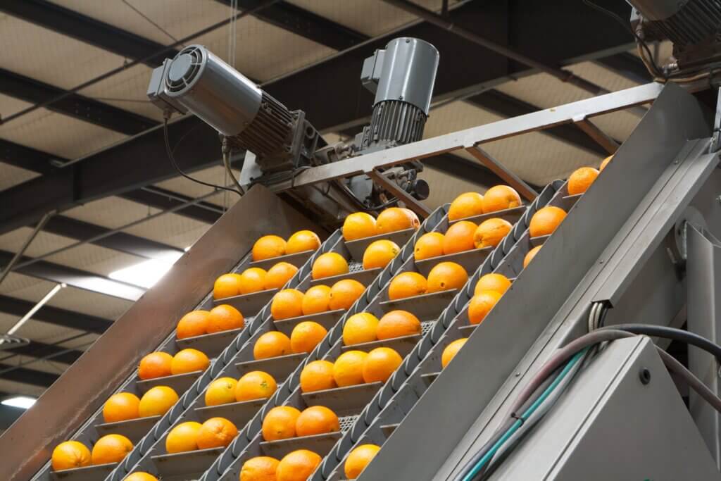 Kings Rover Packing Oranges Our Story - Kings River Packing