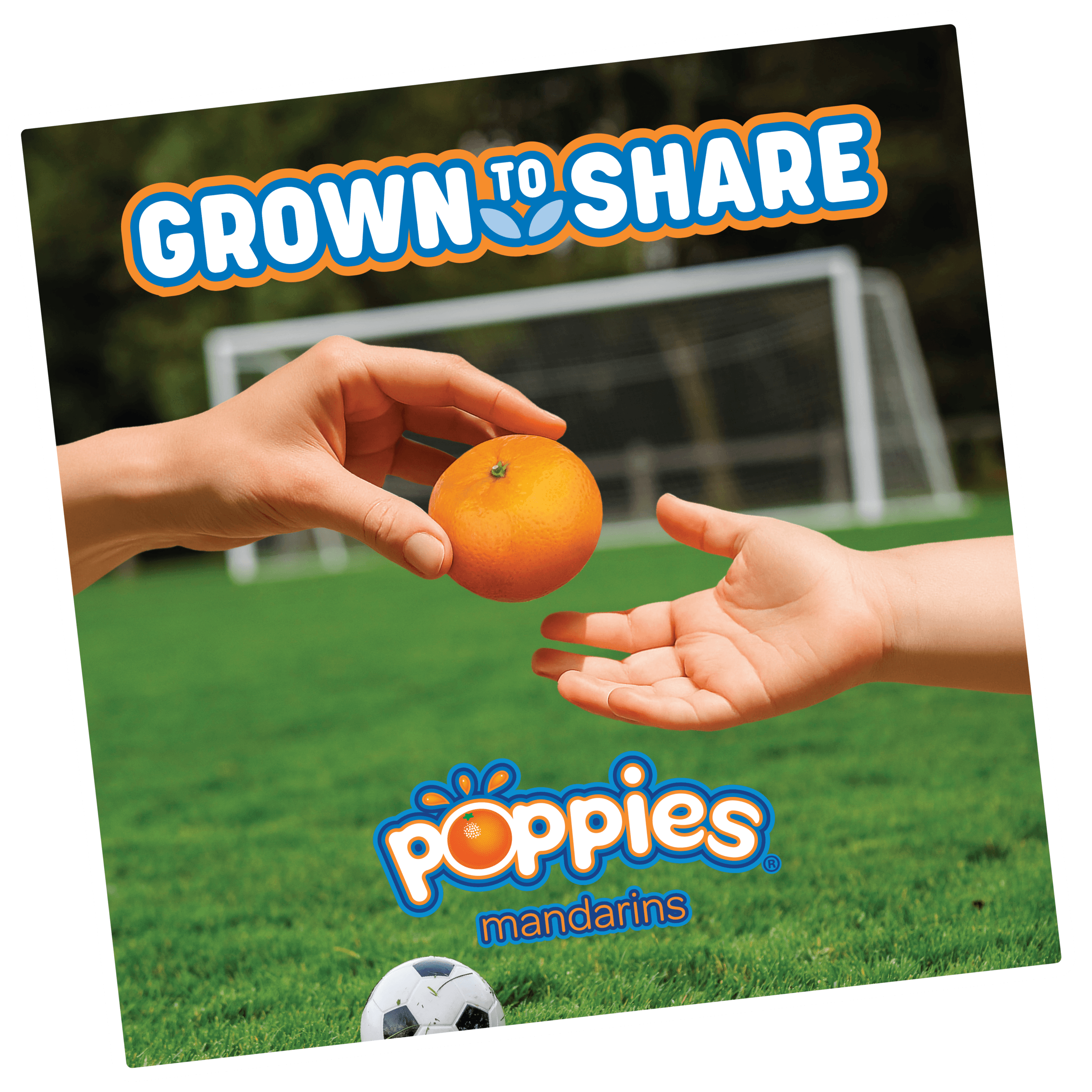 PoppiesGrowntoShare WebGraphic
