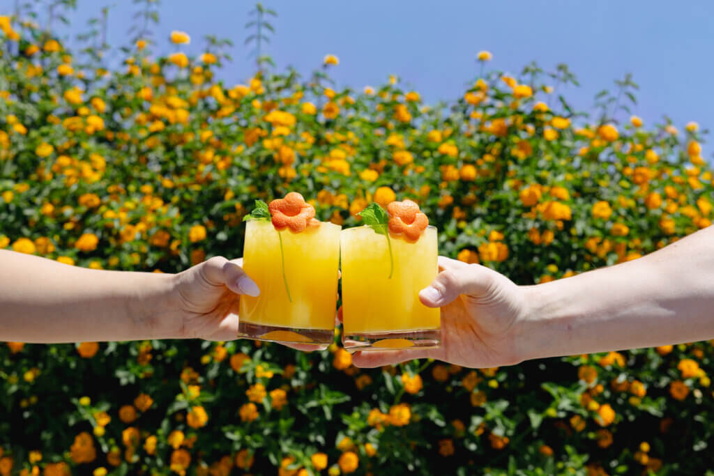 PoppiesRefresher