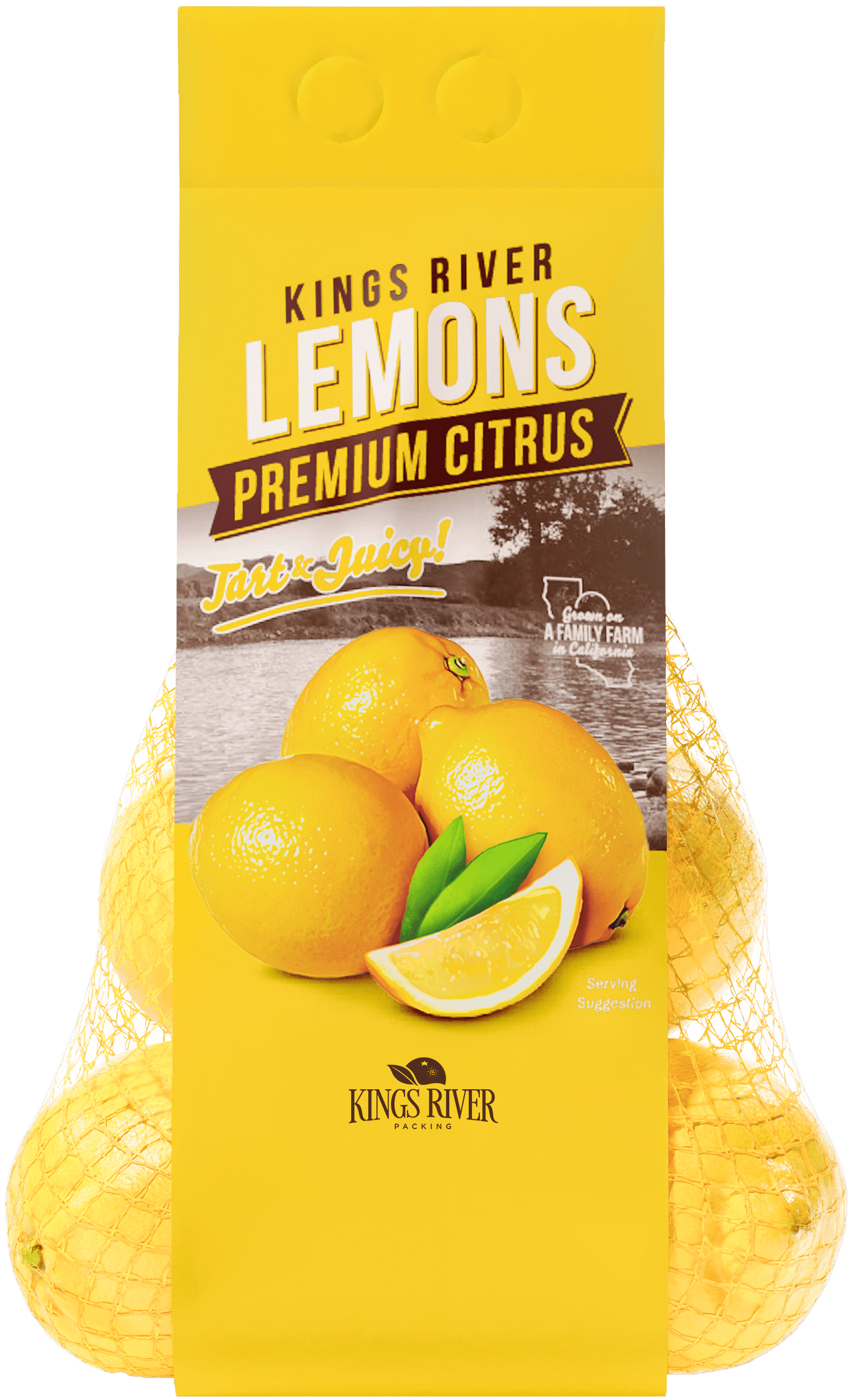 LEMONS Giro Bag Front Transparent
