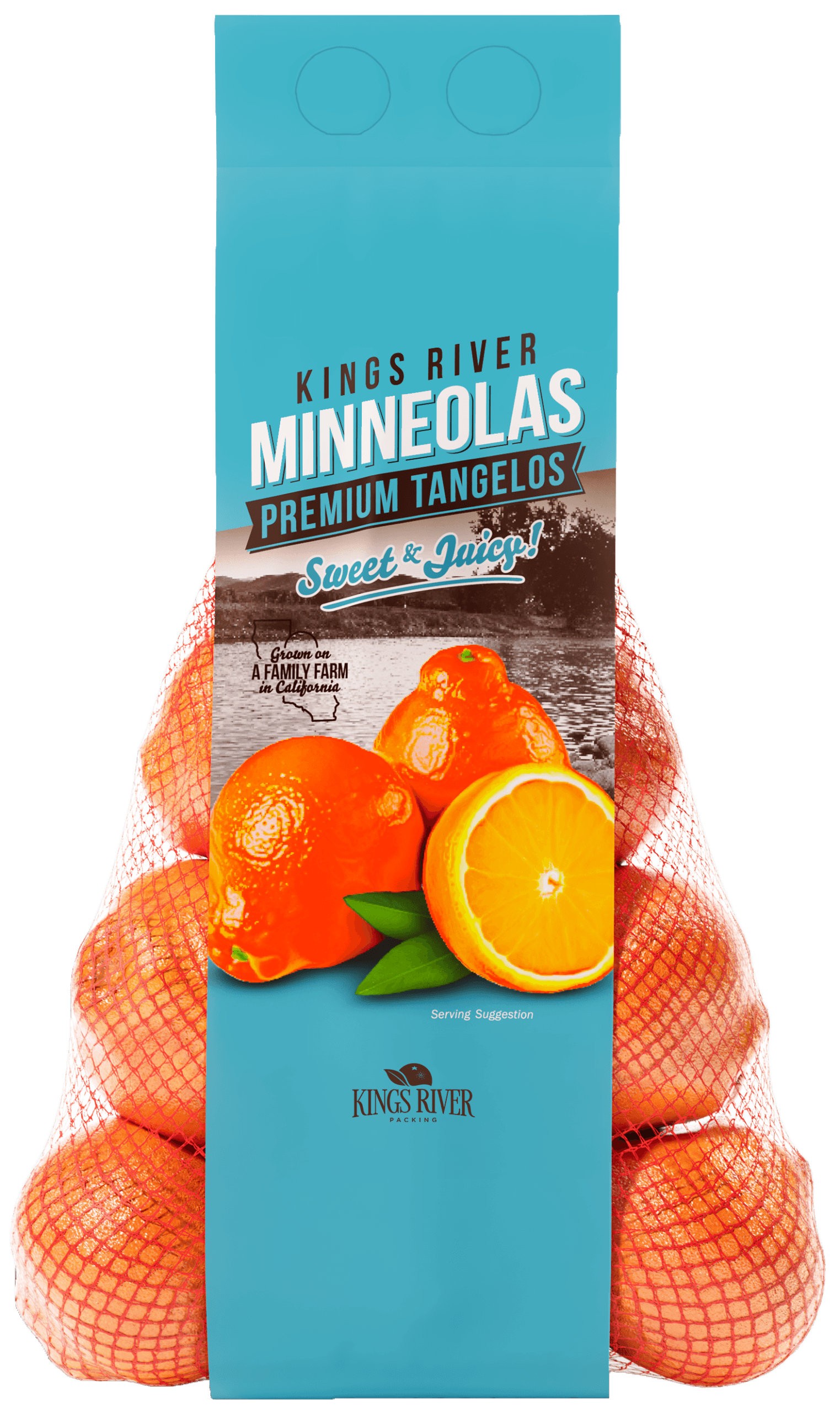 MINNEOLAS Giro Bag Front Transparent